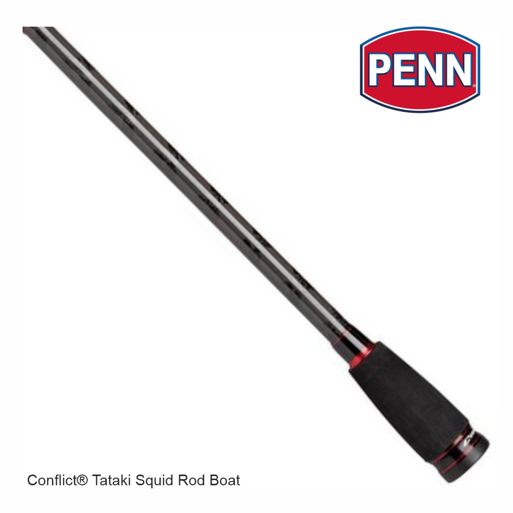 PENN Conflict® TATAKI SQUID boat 20-150gr